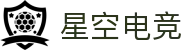 星空电竞(StarSky Sports)官网-华语电竞行业引领者